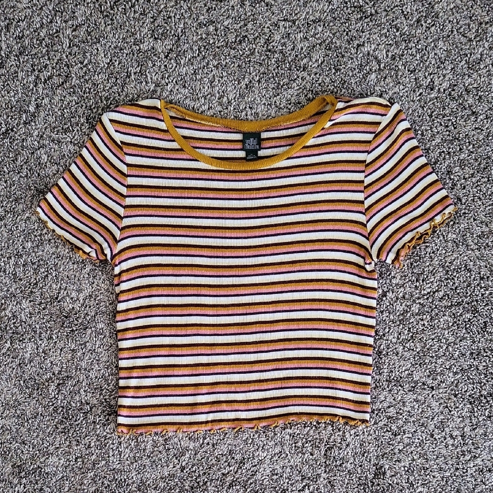 Wild Fable Yellow, Cranberry and Pink Striped Crop Top